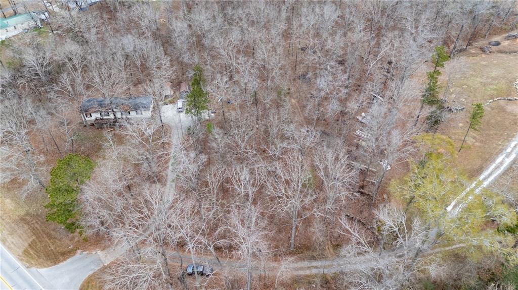 0 Turkey Mountain Road Northeast Armuchee, GA 30105 - Photo 5 of 9 a close up of a plant