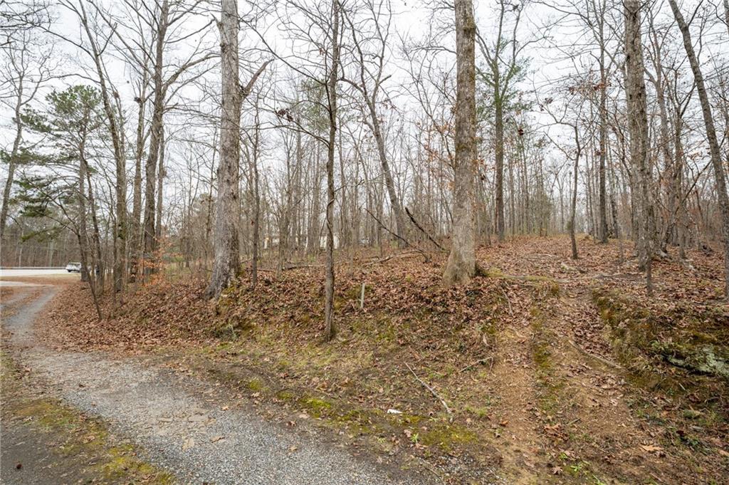 0 Turkey Mountain Road Northeast Armuchee, GA 30105 - Photo 8 of 9 a view of a yard with trees in the background
