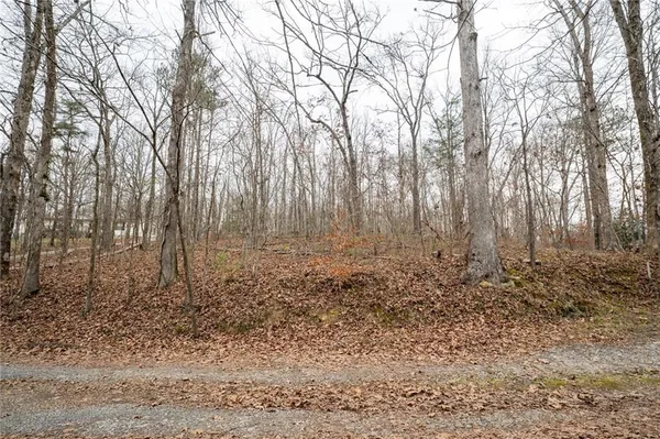 a view of a yard