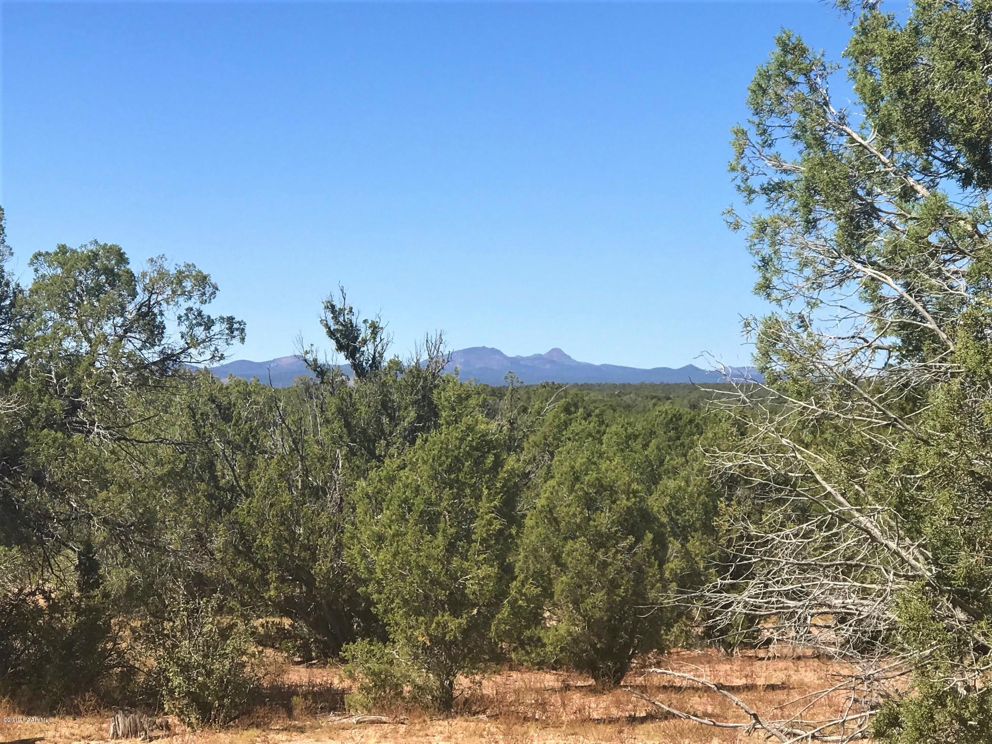 475 Caprica Road Ash Fork, AZ 86320 - Photo 8 of 9 IMG_8337