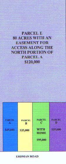 Erdman Parcel D Road Arcadia, MI 49613 - Photo 1 of 1 Primary Photo