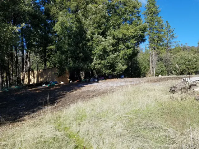 a view of outdoor space and covered with trees