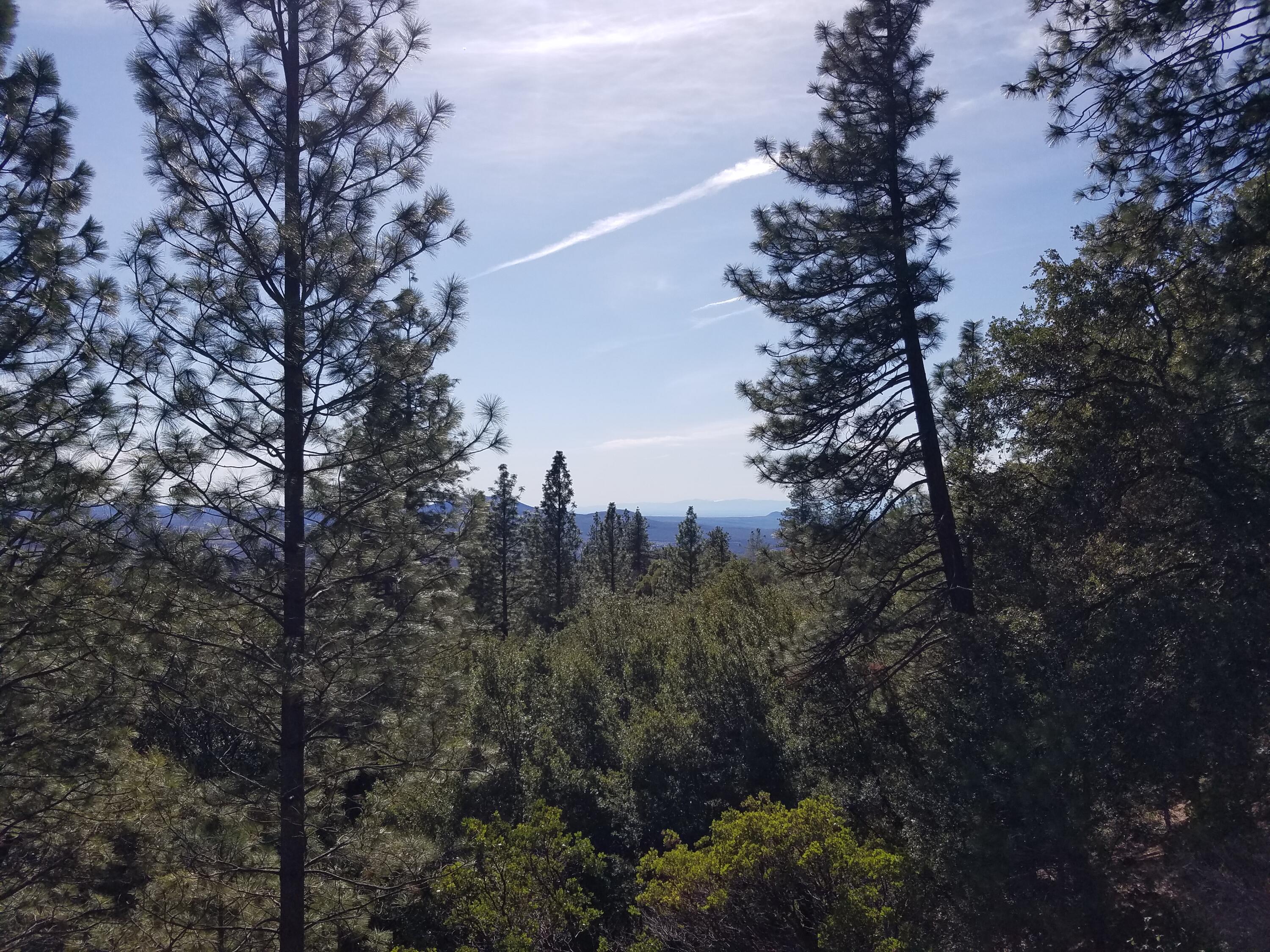 6200 Wilson Hill Road Shingletown, CA 96088 - Photo 47 of 53 a view of a city with lush green forest