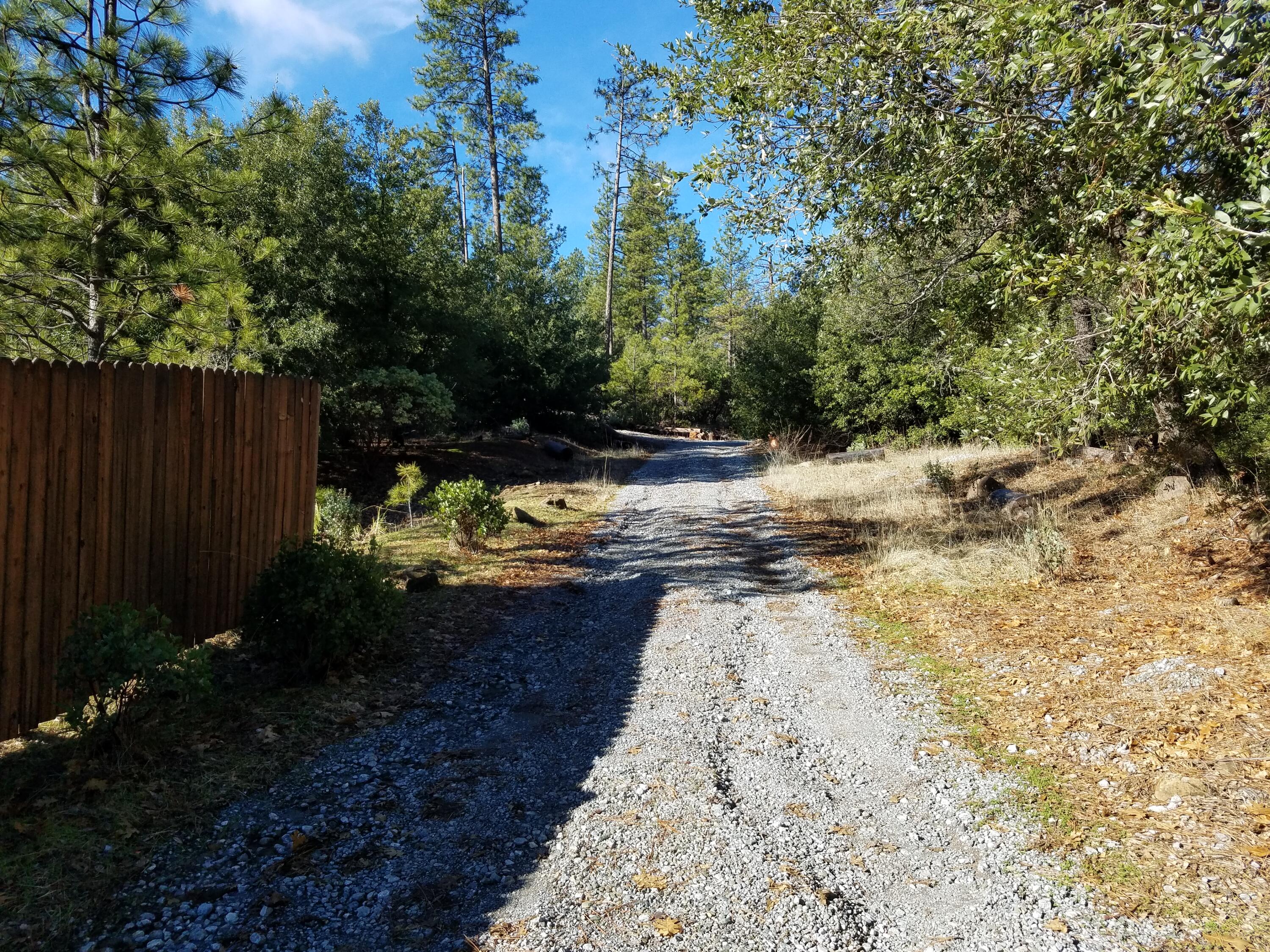 6200 Wilson Hill Road Shingletown, CA 96088 - Photo 52 of 53 a view of a backyard of the house