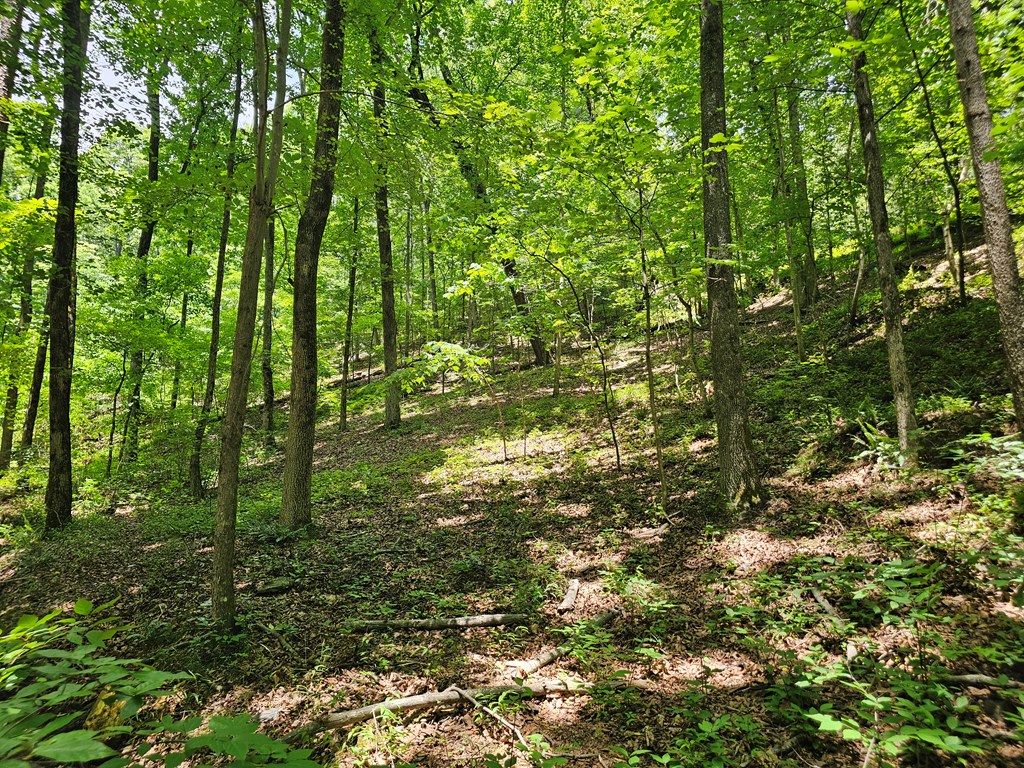 549 Myriad Way Ranger, GA 30734 - Photo 13 of 25