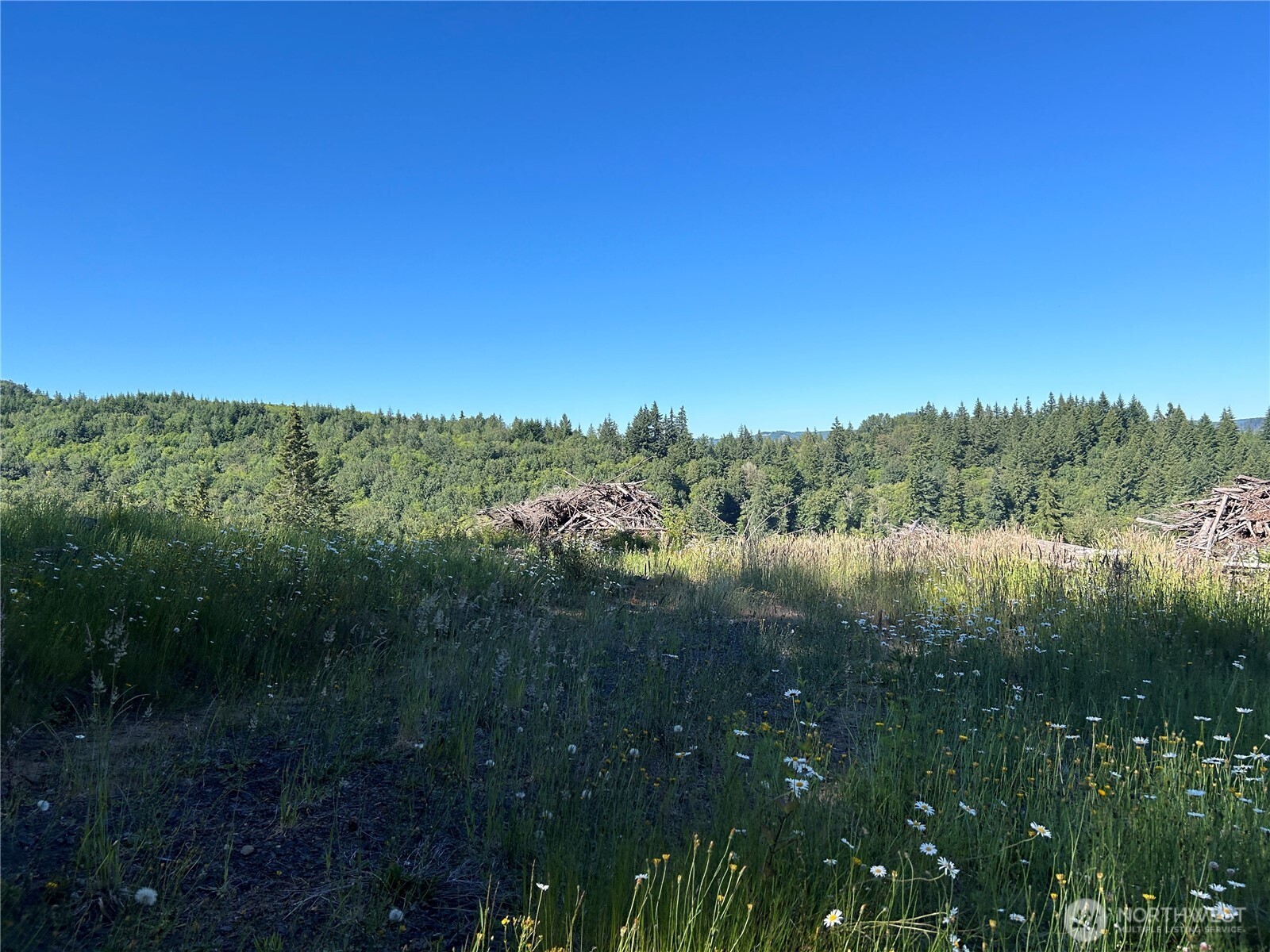 125 Talkeetna Heights Road Longview, WA 98632 - Photo 7 of 17 Gallery Image 7