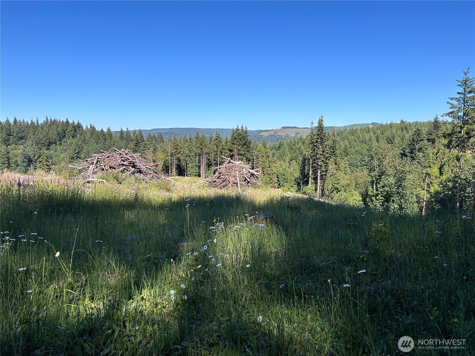 125 Talkeetna Heights Road Longview, WA 98632 - Photo 10 of 17 Gallery Image 10
