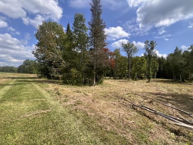 Lot 3 Off New Limerick Road Houlton, ME 04730 - Photo 27 of 30 IMG_2097