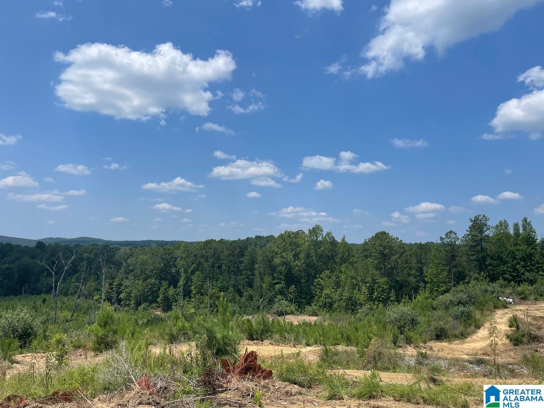 7 Chelsea Road, Unit 2 Columbiana, AL 35051 - Photo 12 of 12