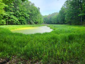 100 West Adams Road Farwell, MI 48622 - Photo 44 of 48