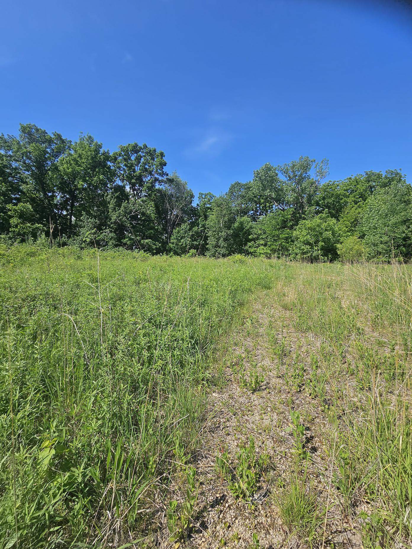 13061 Walnut Blf Road Bagley, WI 53801 - Photo 3 of 18