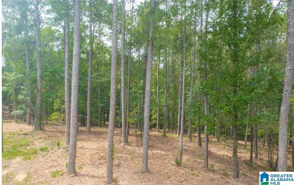 4 Cedar Grove Road, Unit 4 Wilsonville, AL 35186 - Photo 1 of 1