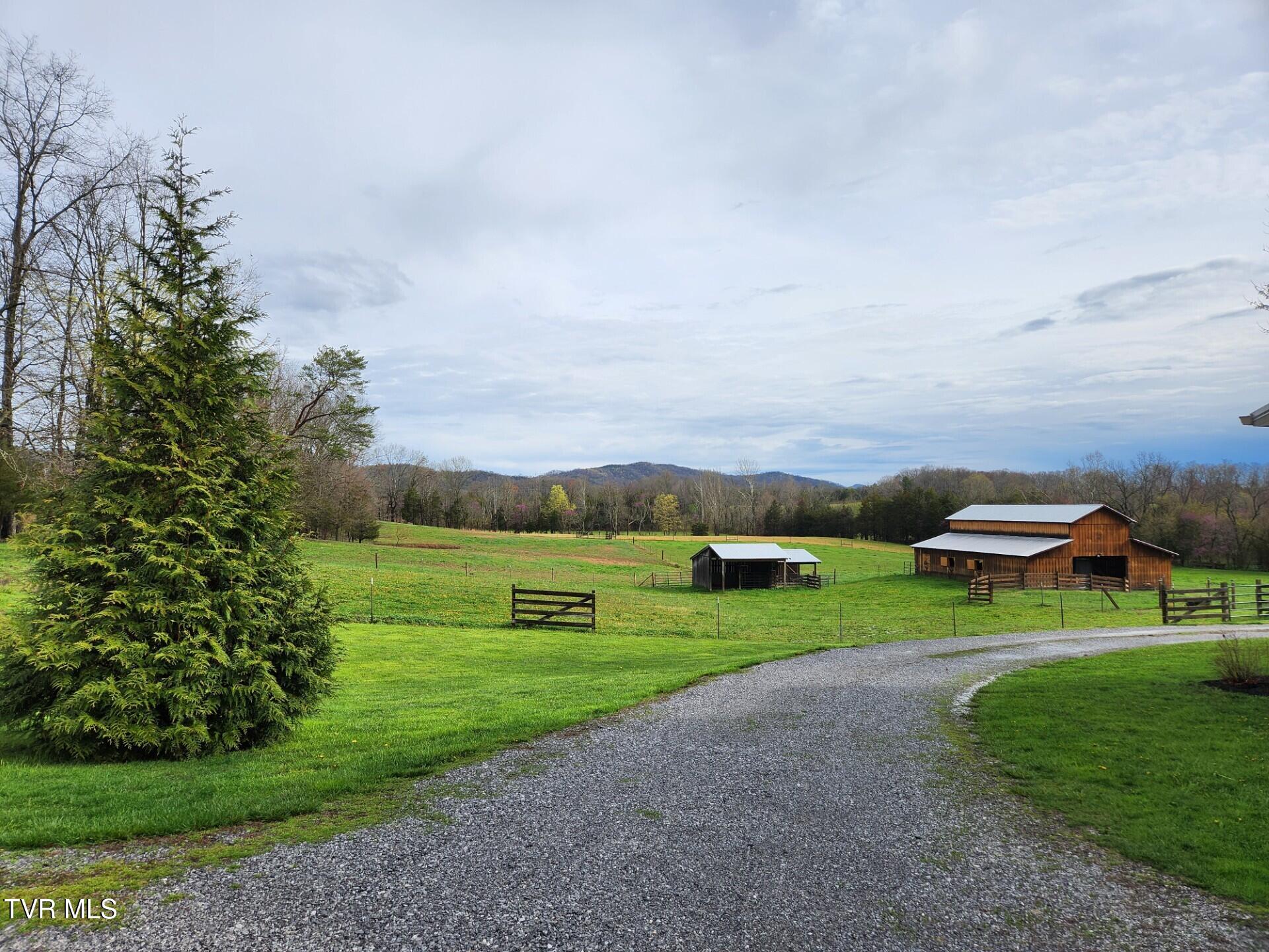 483 Wisecarver Road Mosheim, TN 37818 - Photo 14 of 52 Mountainview