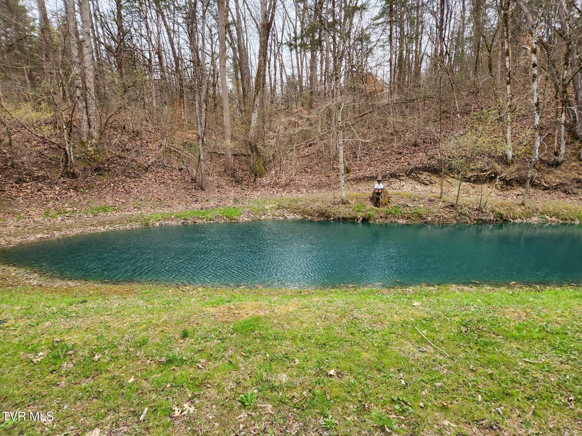 483 Wisecarver Road Mosheim, TN 37818 - Photo 15 of 52 Fish pond