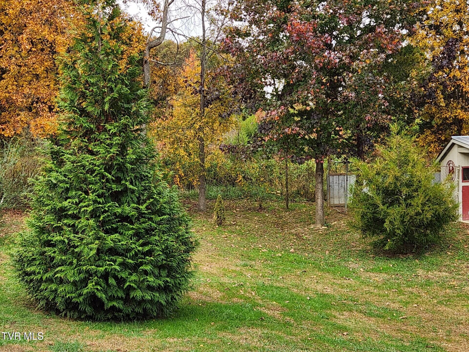 483 Wisecarver Road Mosheim, TN 37818 - Photo 16 of 52 Backyard