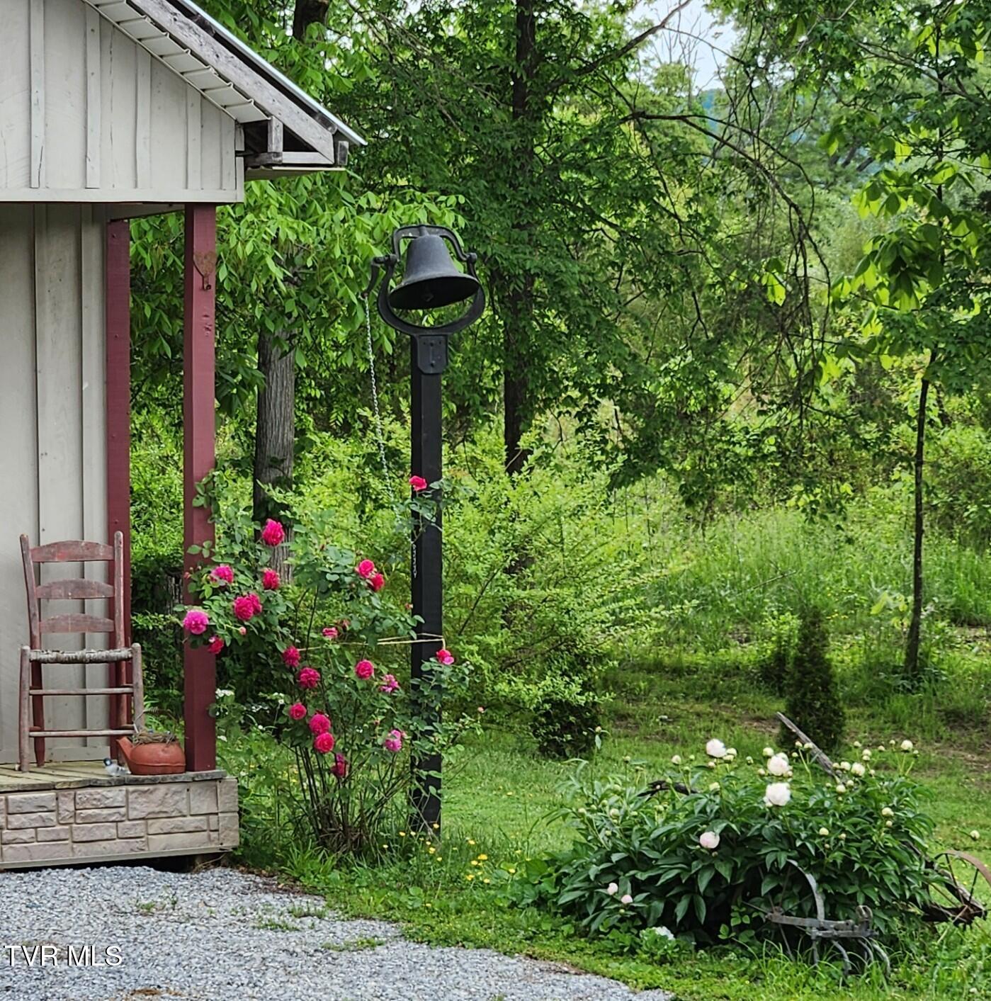 483 Wisecarver Road Mosheim, TN 37818 - Photo 17 of 52 Back yard