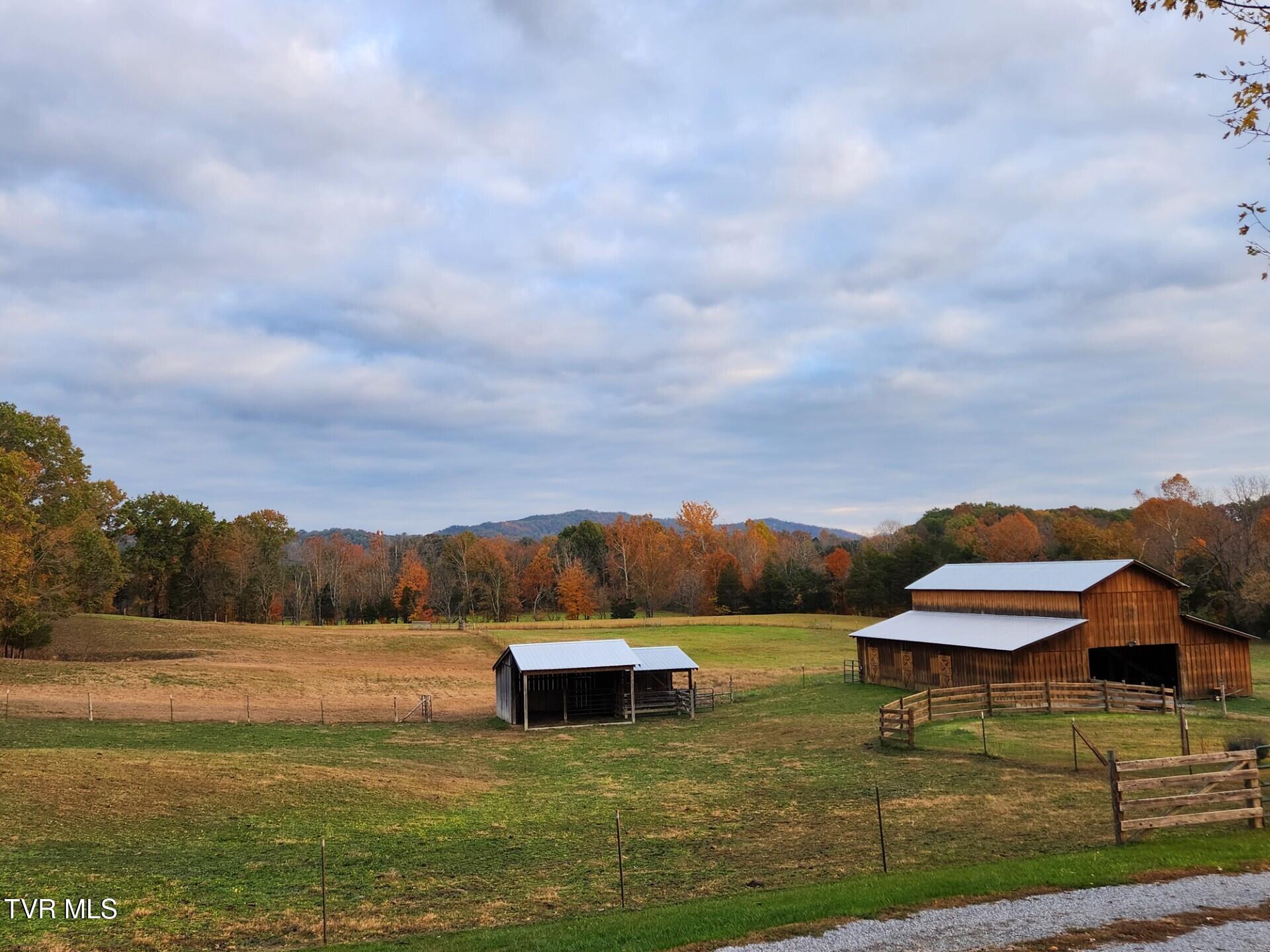 483 Wisecarver Road Mosheim, TN 37818 - Photo 30 of 52 Cowshed/barn
