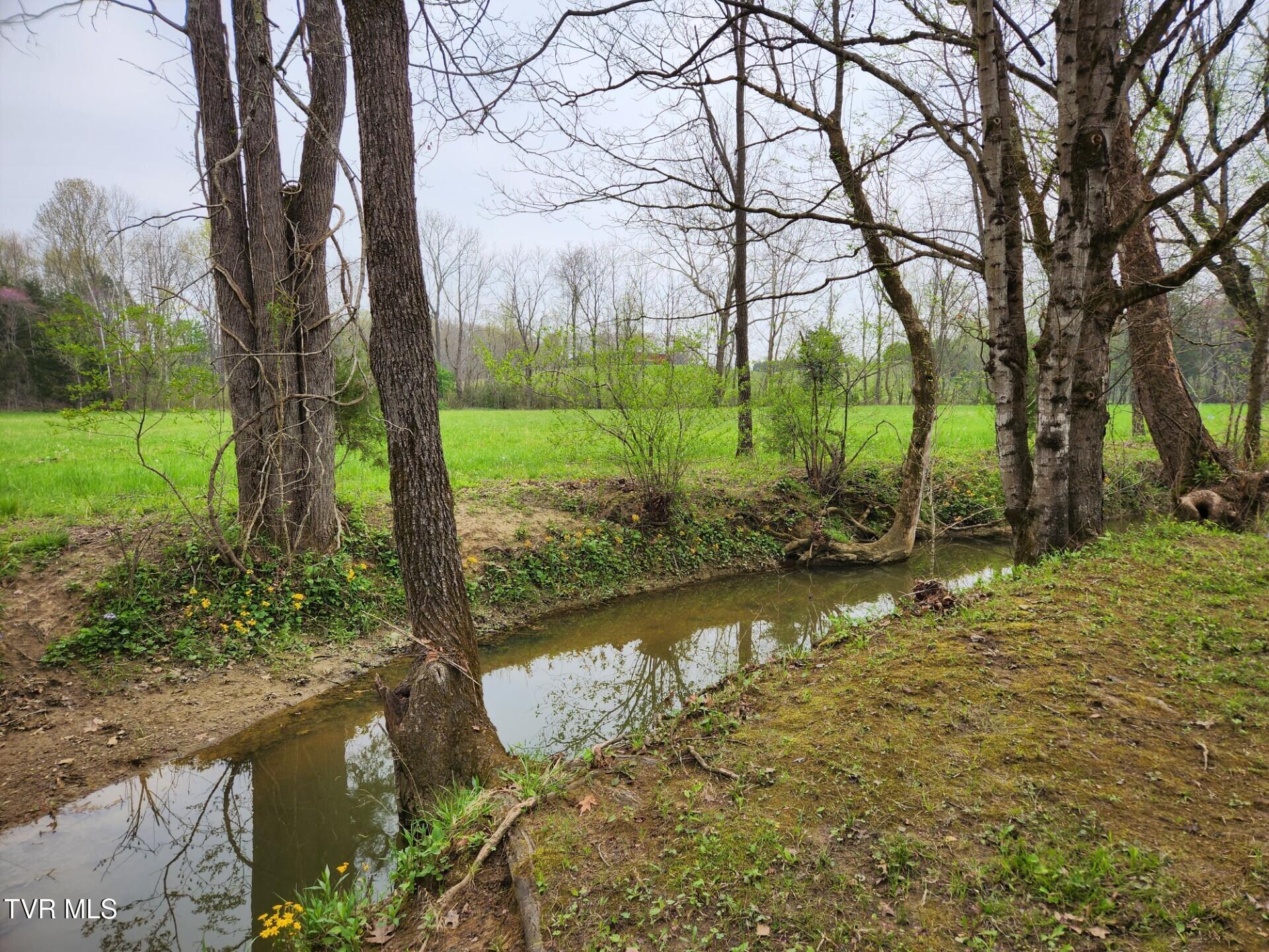 483 Wisecarver Road Mosheim, TN 37818 - Photo 32 of 52 Creek