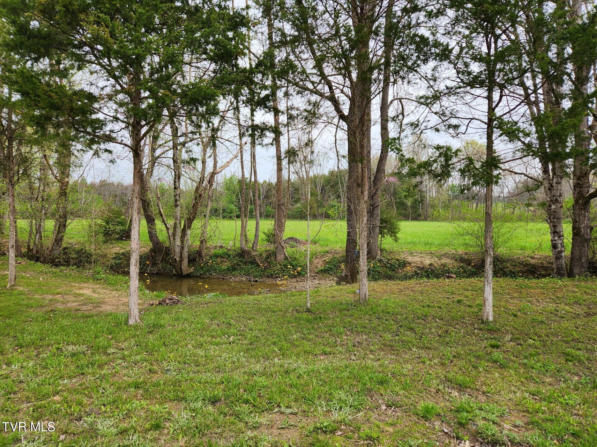 483 Wisecarver Road Mosheim, TN 37818 - Photo 33 of 52 Hayfield-Creek