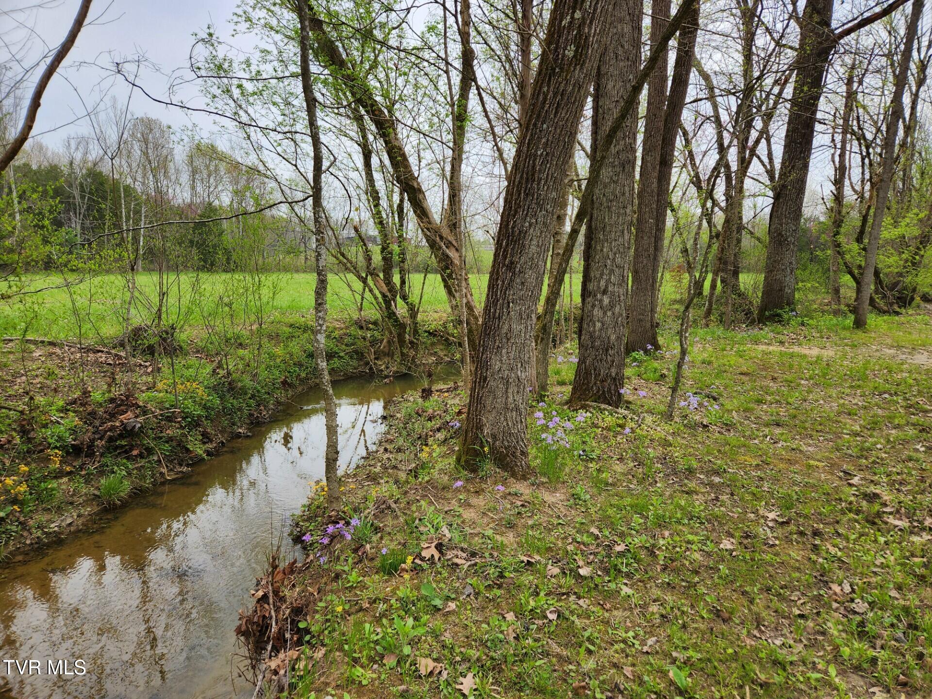 483 Wisecarver Road Mosheim, TN 37818 - Photo 35 of 52 Creek