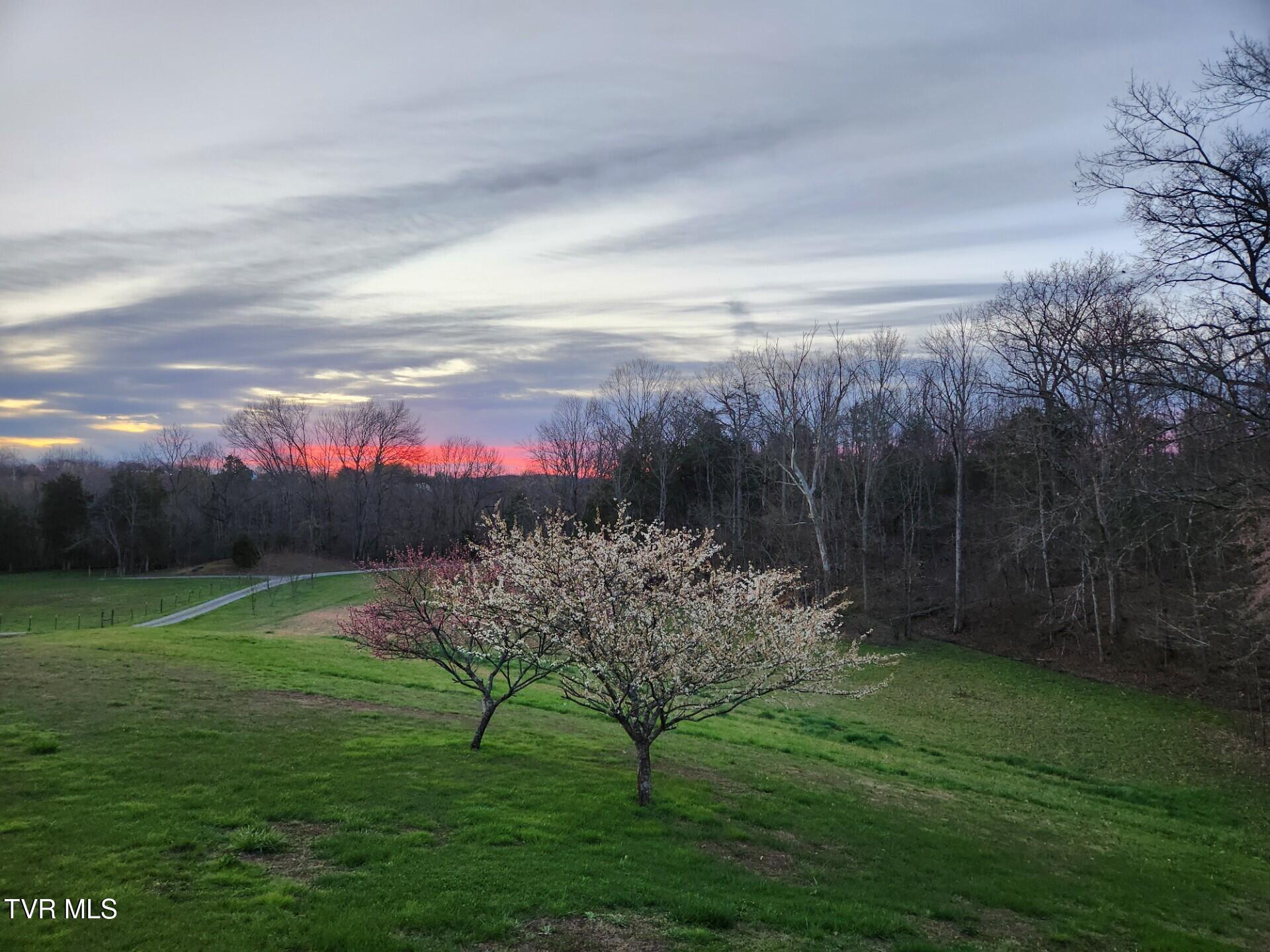 483 Wisecarver Road Mosheim, TN 37818 - Photo 36 of 52 Frontview