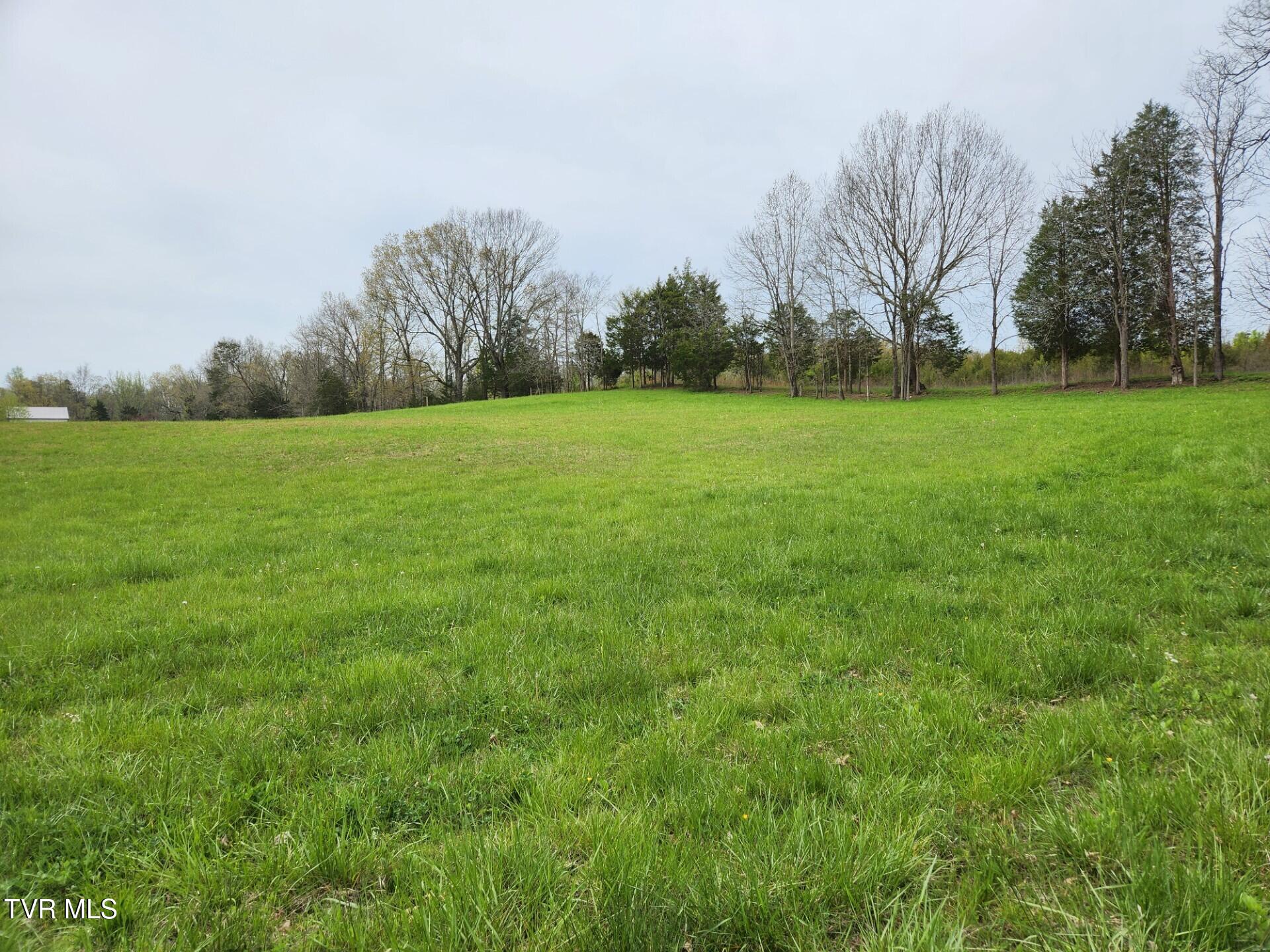 483 Wisecarver Road Mosheim, TN 37818 - Photo 41 of 52 Hayfield