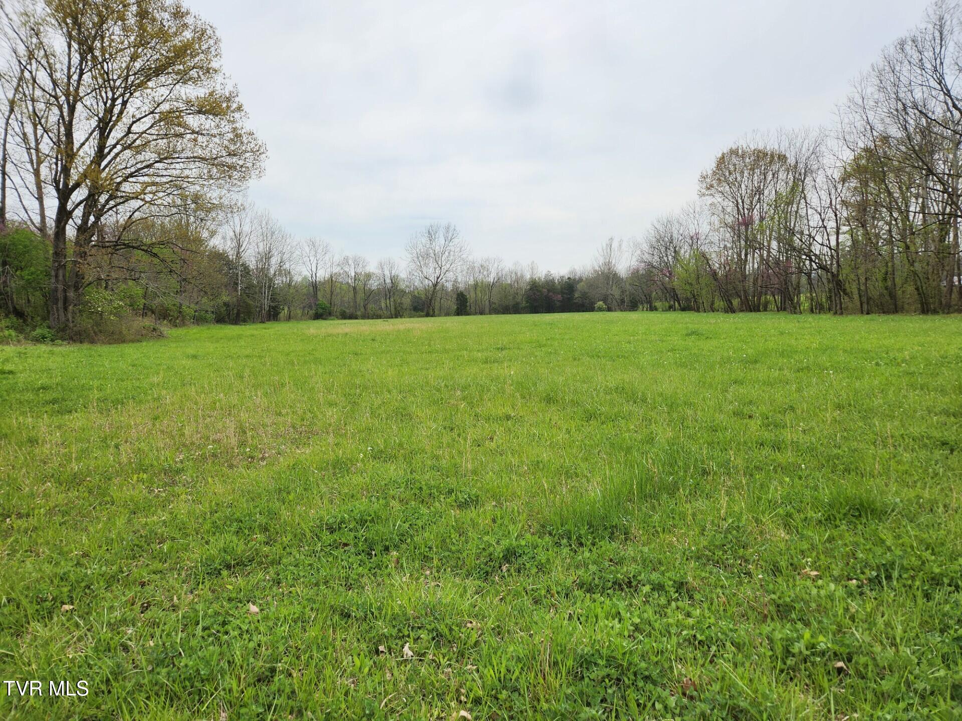 483 Wisecarver Road Mosheim, TN 37818 - Photo 43 of 52 Hayfield