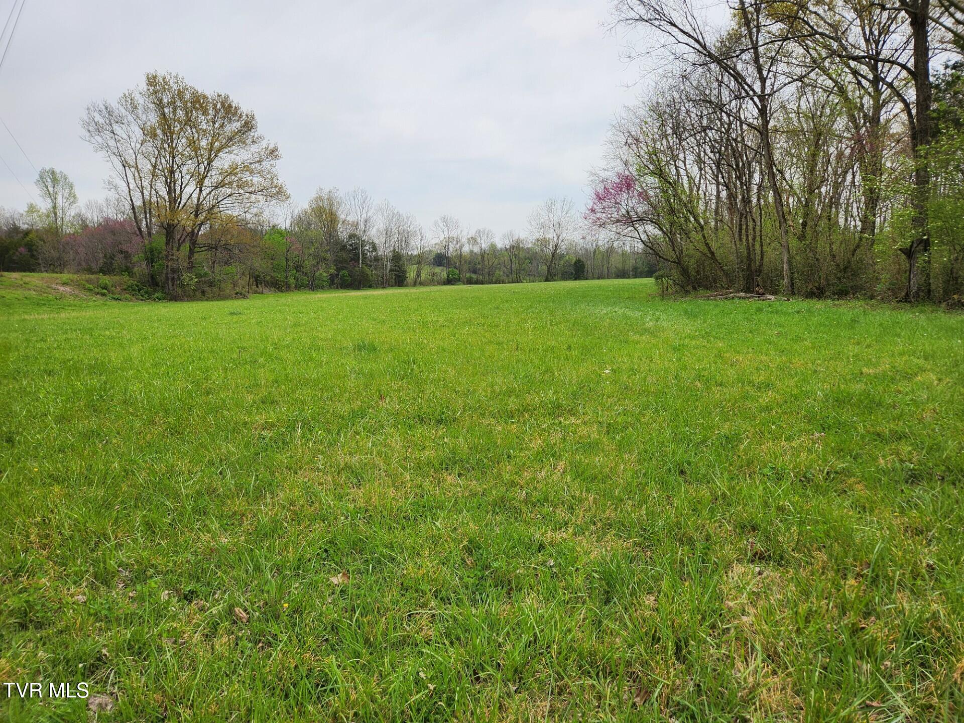 483 Wisecarver Road Mosheim, TN 37818 - Photo 45 of 52 Pasture