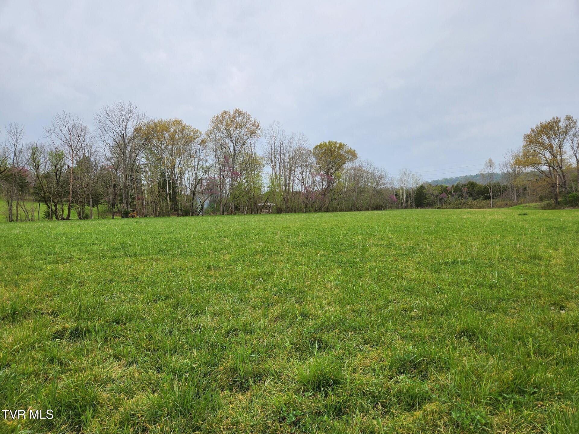 483 Wisecarver Road Mosheim, TN 37818 - Photo 46 of 52 Pasture