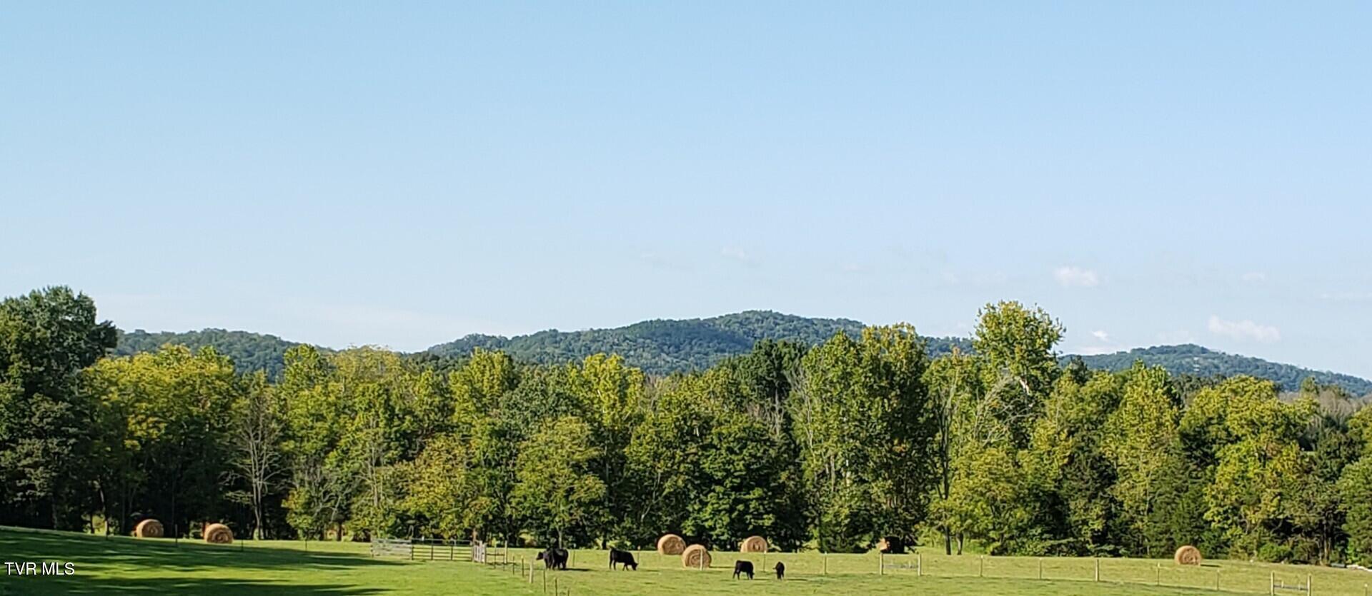 483 Wisecarver Road Mosheim, TN 37818 - Photo 47 of 52 Pasture
