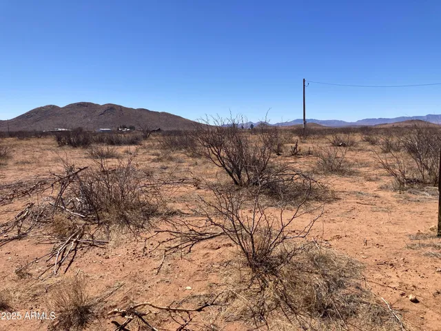 a view of a dry yard with a tree