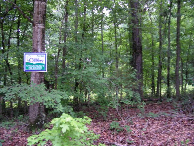 1 Bradley Road Tignall, GA 30668 - Photo 1 of 1 Main View