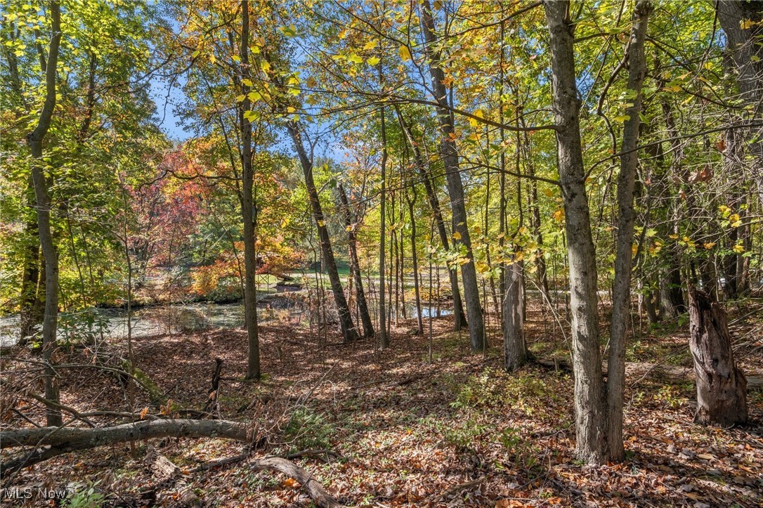 West Comet Road Clinton, OH 44216 - Photo 22 of 26 View of nature