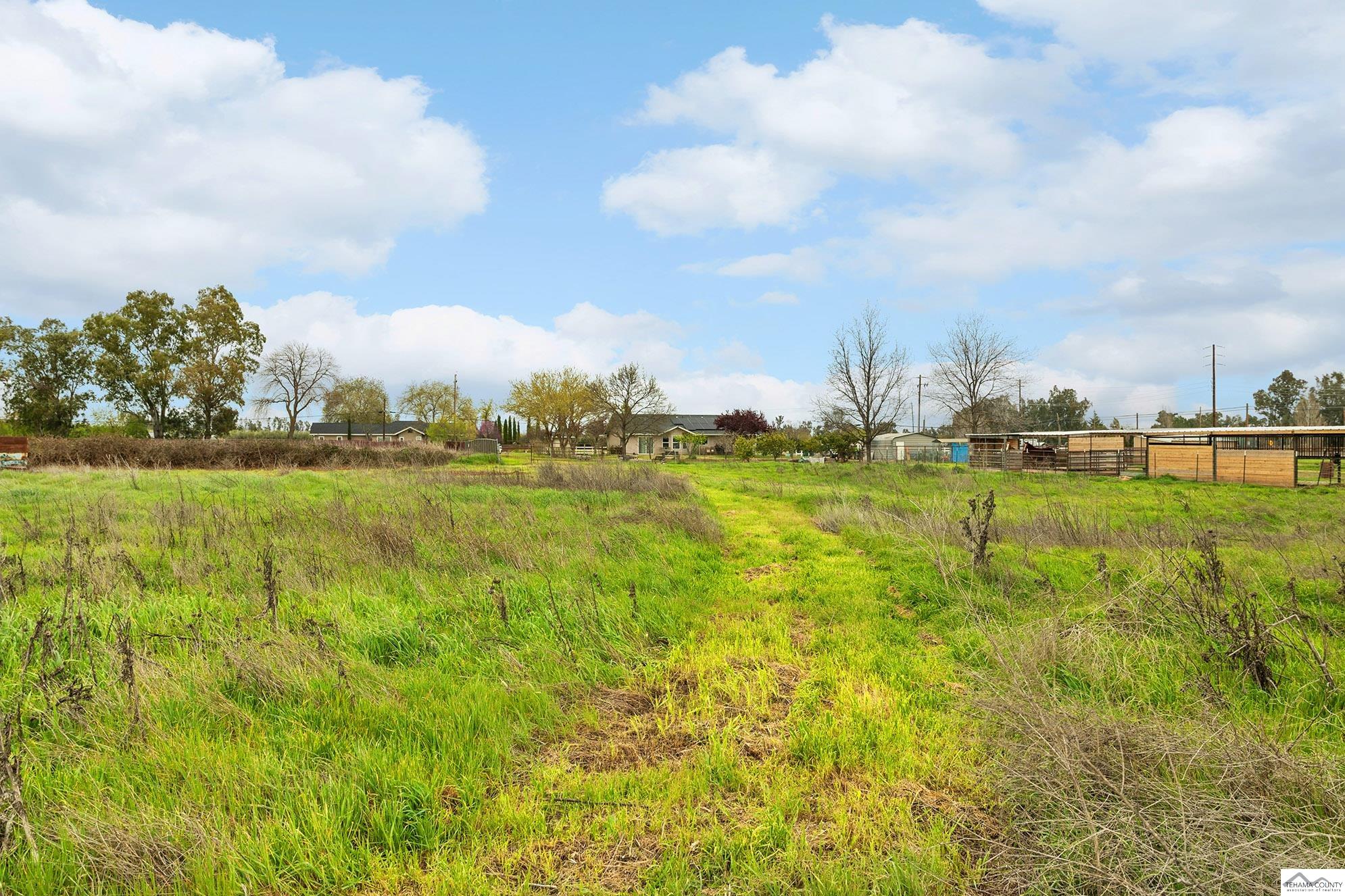 0 County Rd 20 Orland, CA 95963 - Photo 19 of 22
