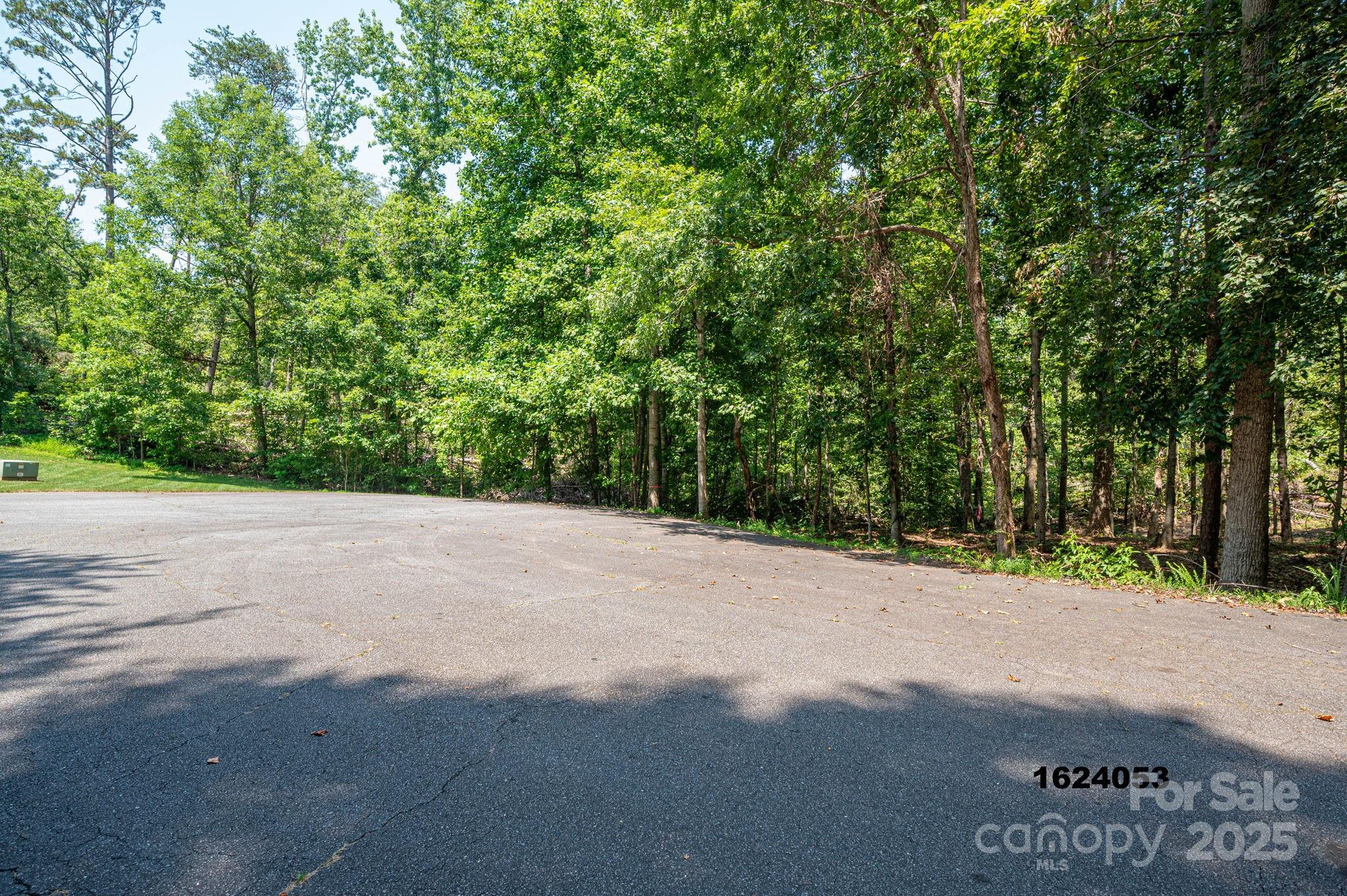 Lot 0 Annapolis Court Rutherfordton, NC 28139 - Photo 10 of 27