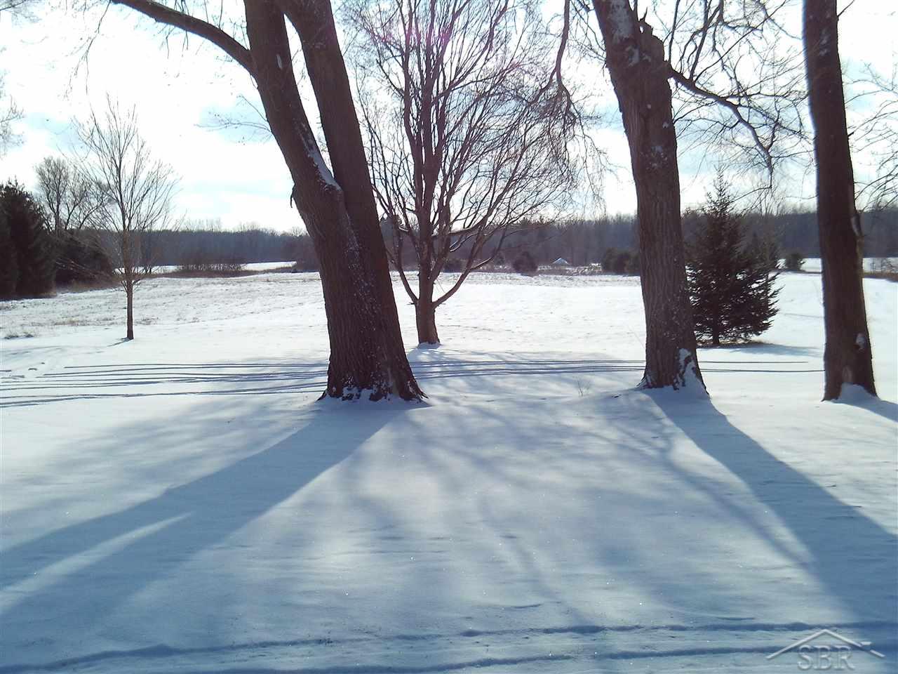 3200 East Farrand Road Clio, MI 48420 - Photo 6 of 57 31337647-5.JPG
