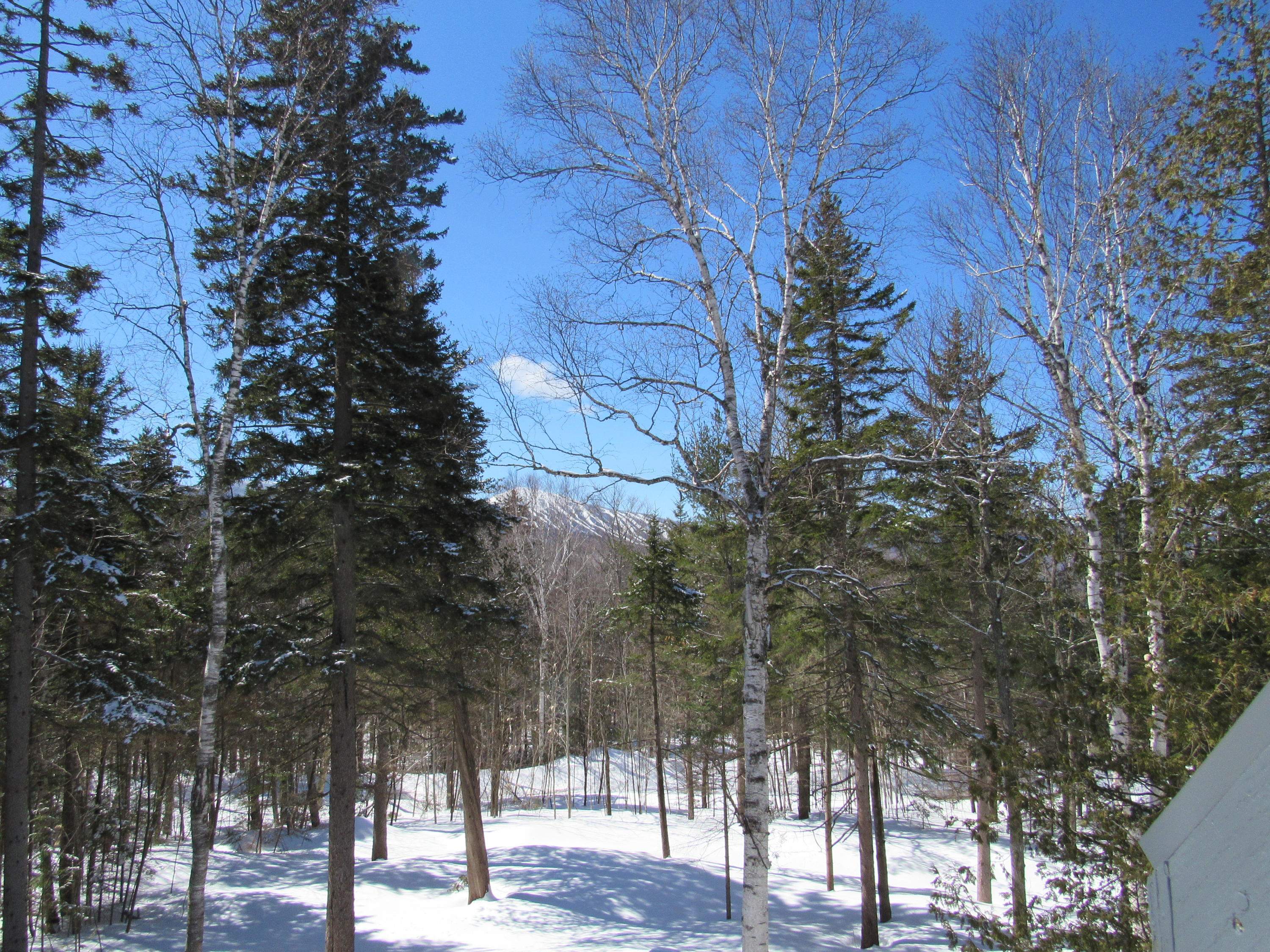 2011 Clark Street Kingfield, ME 04947 - Photo 13 of 24 Mountain view