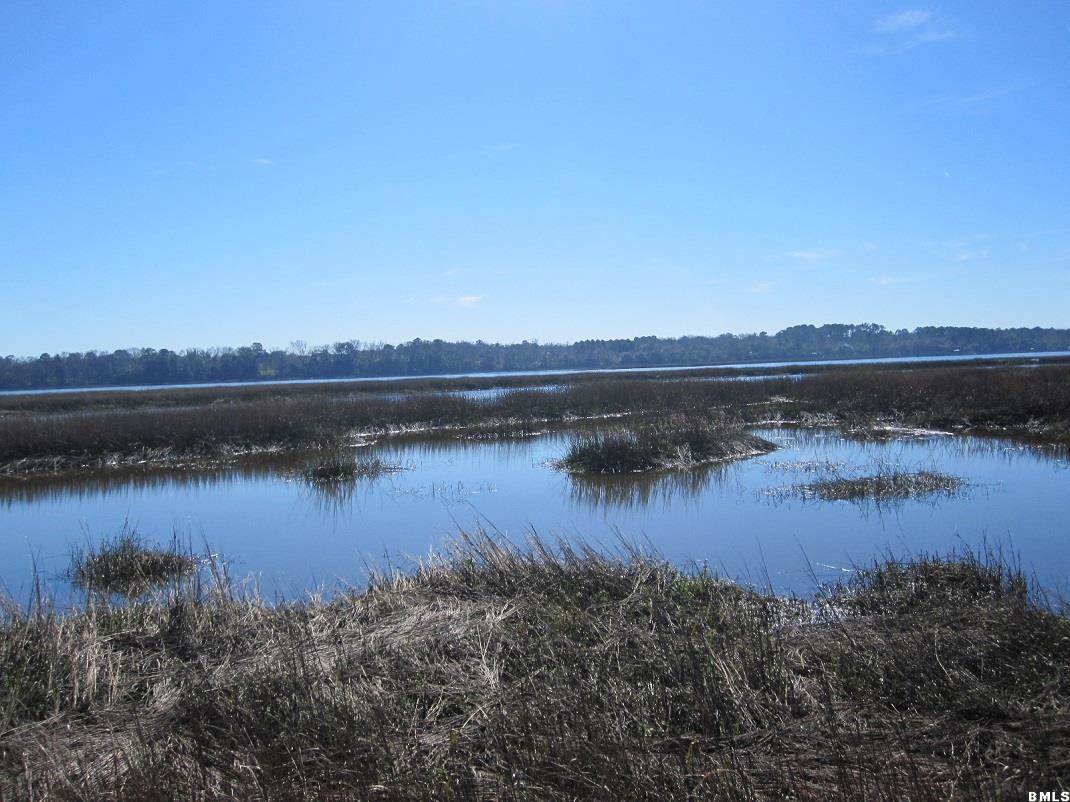 56 Rail Bed Road Seabrook, SC 29940 - Photo 3 of 10 Additional Photo