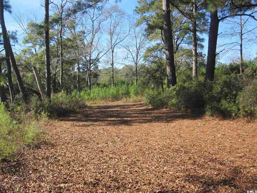 56 Rail Bed Road Seabrook, SC 29940 - Photo 8 of 10 Additional Photo
