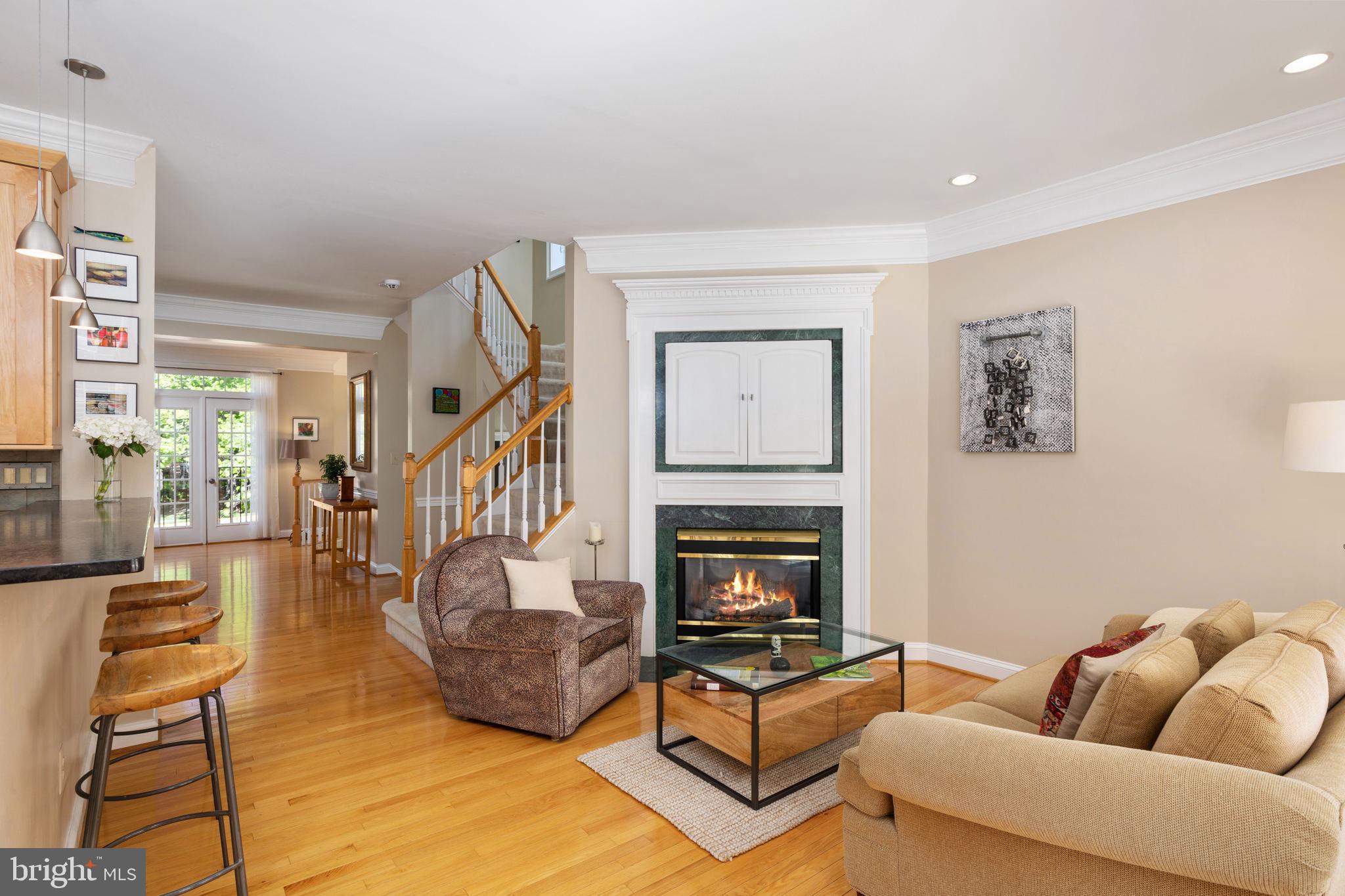1338 Sundial Drive Reston, VA 20194 - Photo 16 of 51 Family Room | Main Level