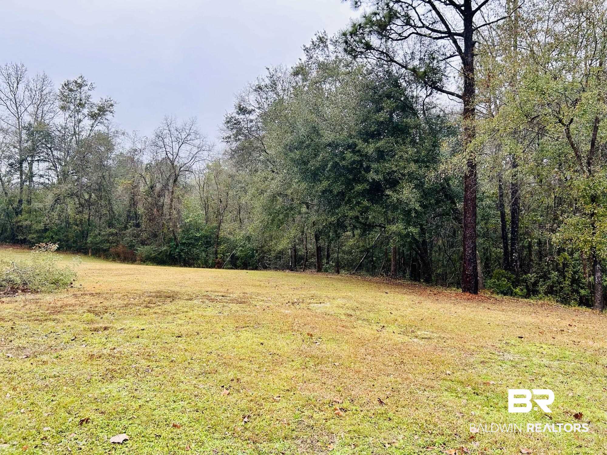 3850 Newman Road Mobile, AL 36695 - Photo 3 of 27 View of yard