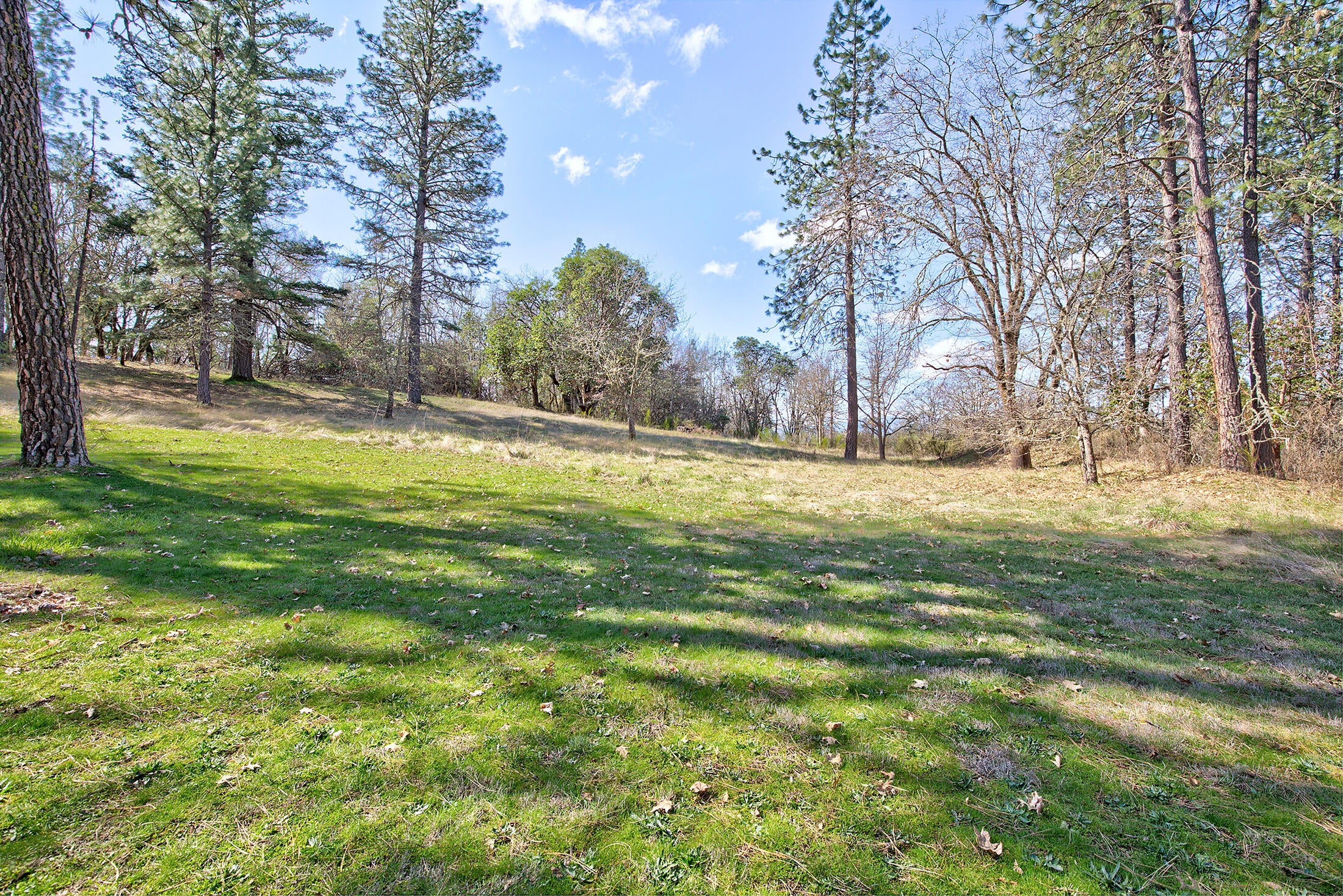 280 Oxyoke Road Grants Pass, OR 97526 - Photo 25 of 59 280oxyoke025