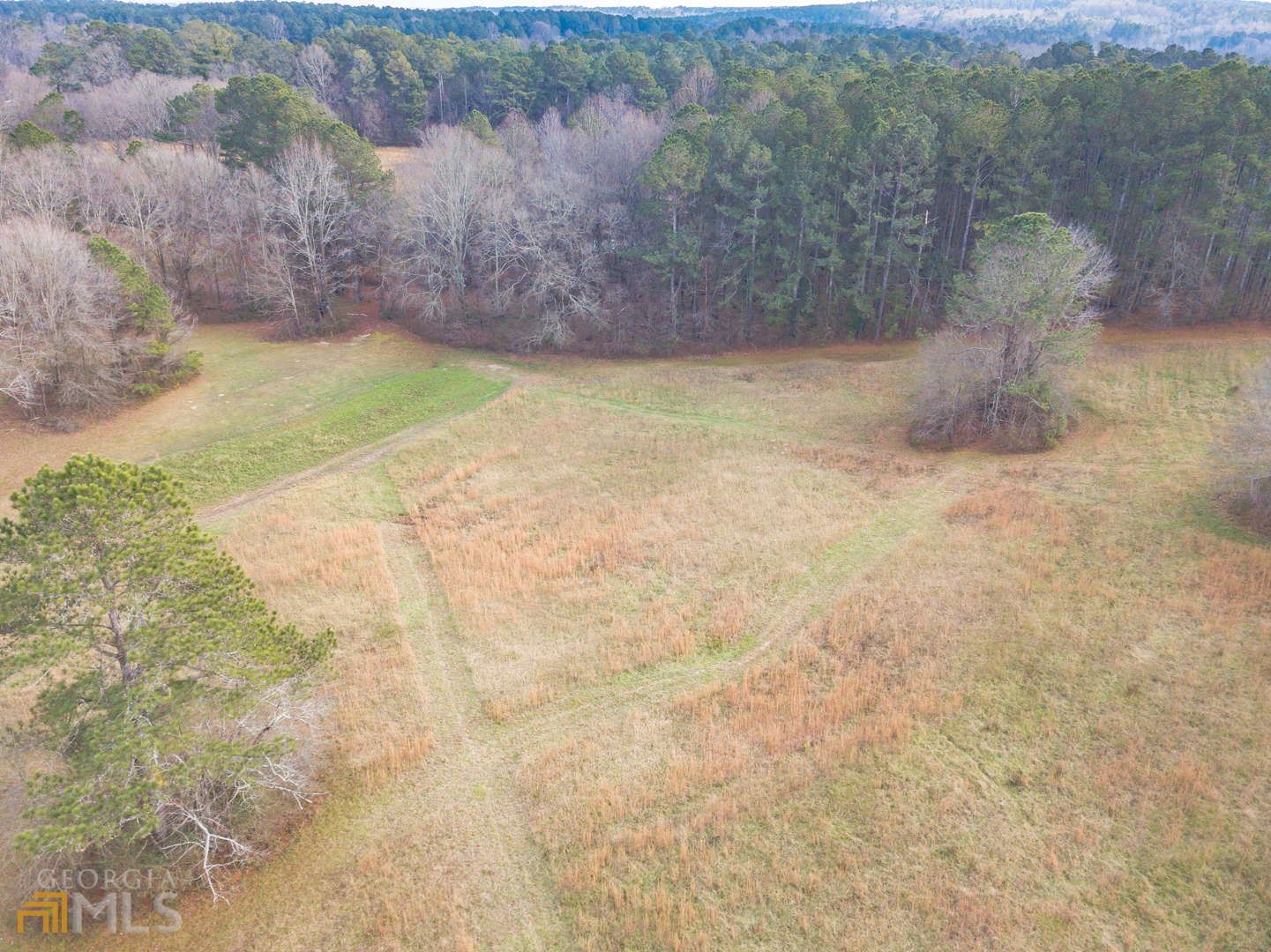 928 Grayson New Hope Road Lawrenceville, GA 30045 - Photo 11 of 36 a view of a yard
