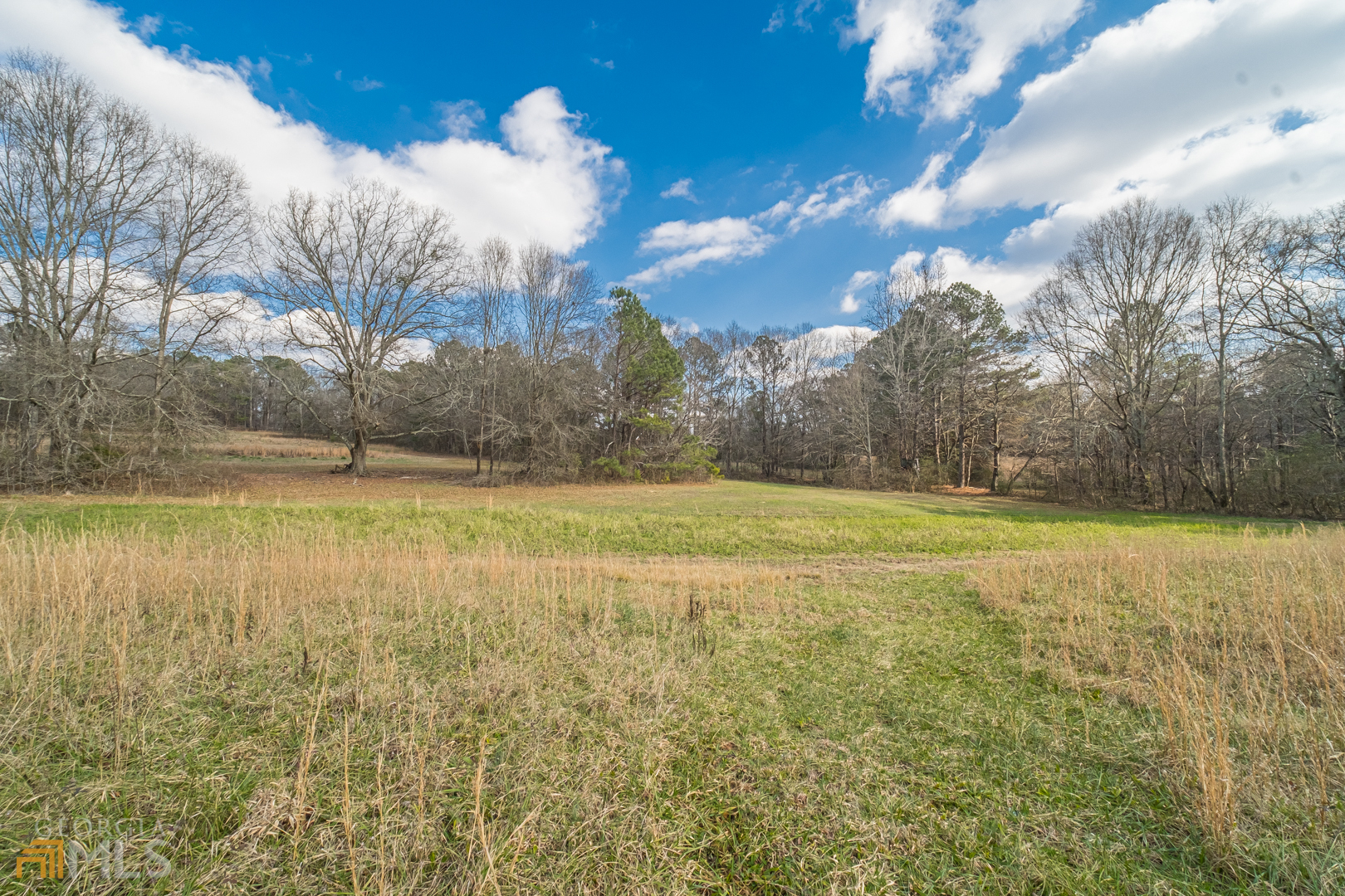 928 Grayson New Hope Road Lawrenceville, GA 30045 - Photo 16 of 36 a view of a lake view