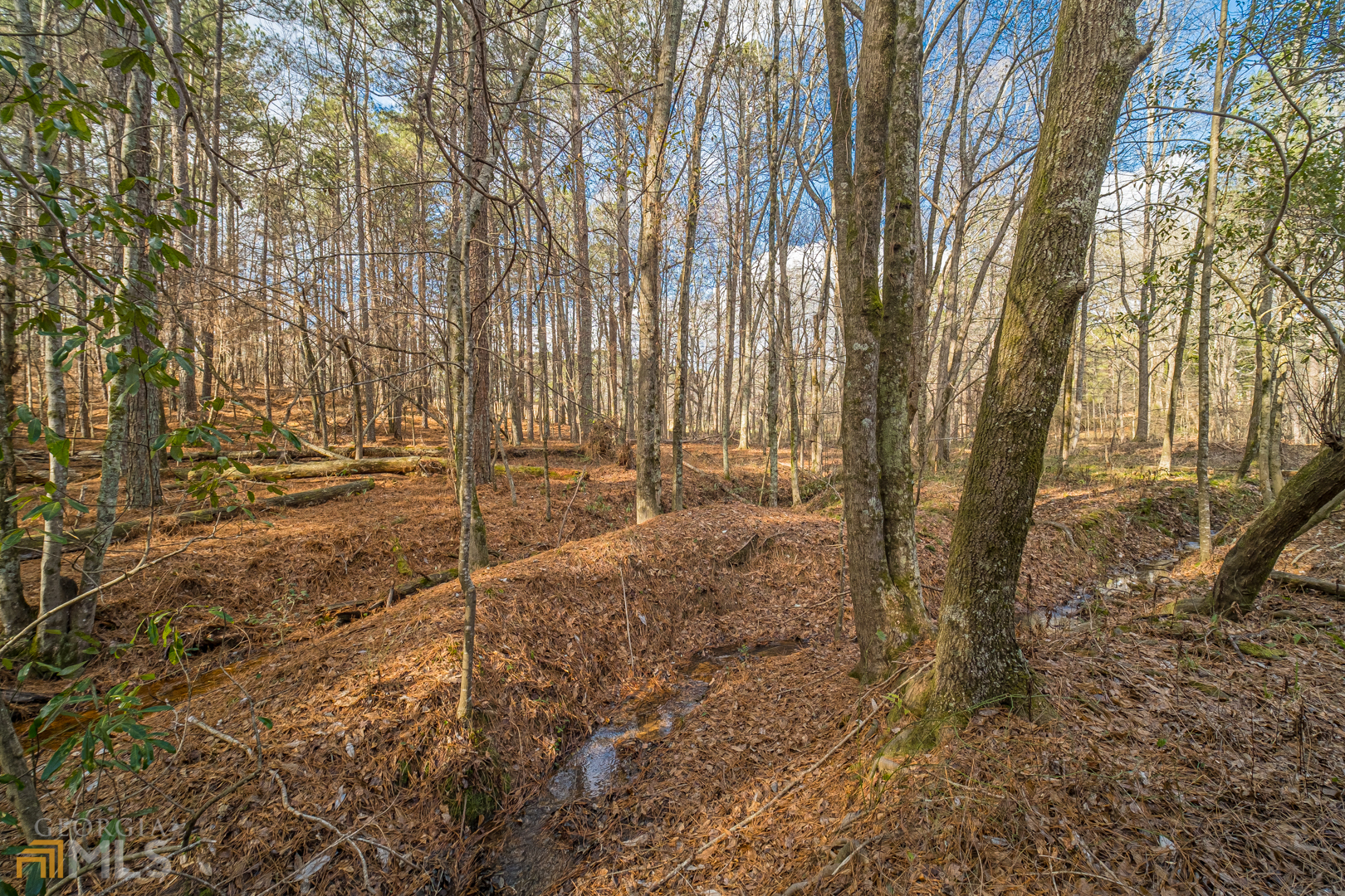 928 Grayson New Hope Road Lawrenceville, GA 30045 - Photo 36 of 36 a backyard of a house with lots of green space