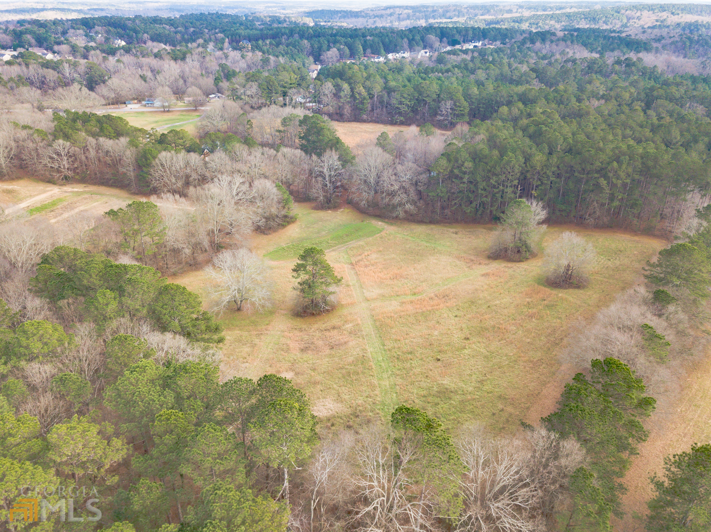 928 Grayson New Hope Road Lawrenceville, GA 30045 - Photo 10 of 36 a view of a yard with a trees