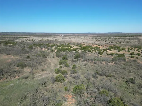 a view of a dry yard with trees
