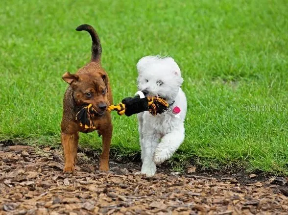 $332,990 | 8591 Oakstone Circle, Leesburg, FL 34788