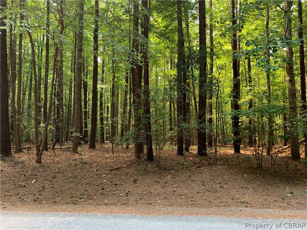 Lot 41 Wilton Creek Road Hartfield, VA 23071 - Photo 5 of 12 Wilton Creek Road Frontage - 650 feet