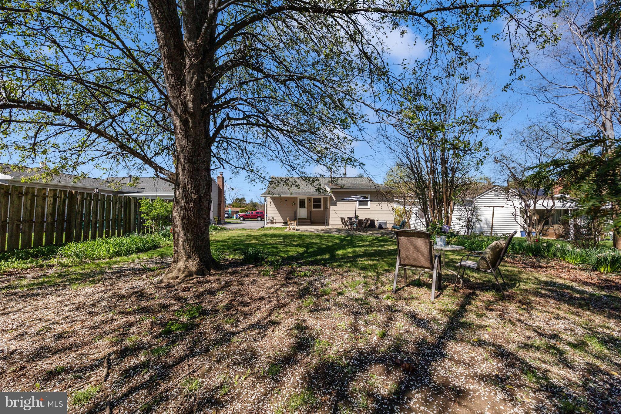 504 Valley Street Frederick, MD 21701 - Photo 40 of 49 Stop and listen to birds!